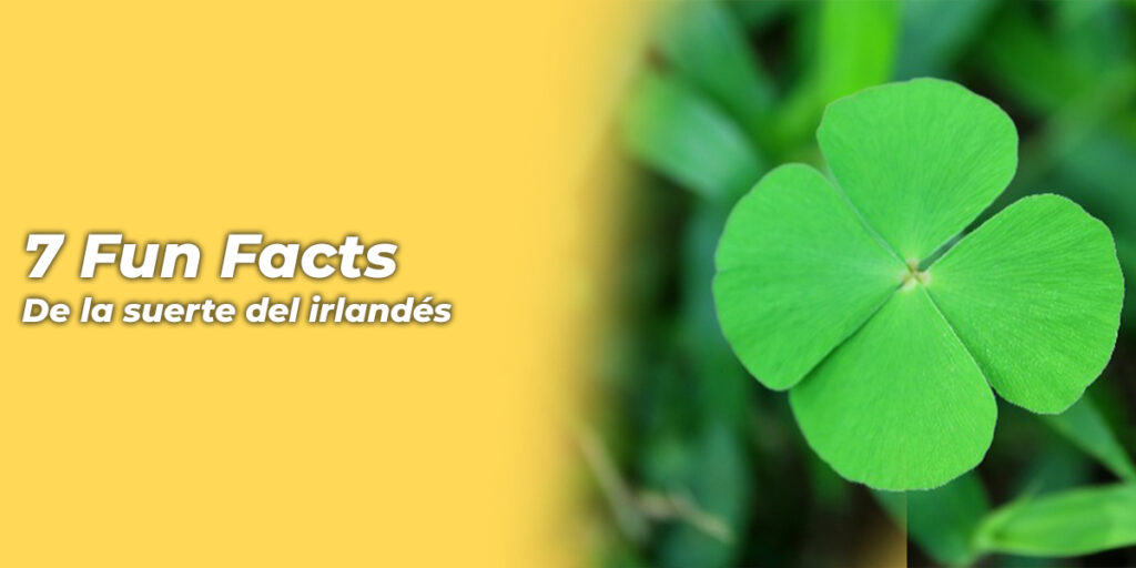Fun Facts About the Four-Leaf Clover